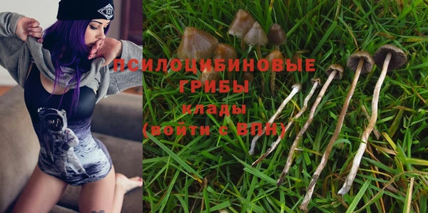 прущие крисы Богородицк