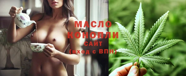 прущий лед Бородино