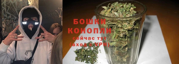 ПСИЛОЦИБИНОВЫЕ ГРИБЫ Белокуриха