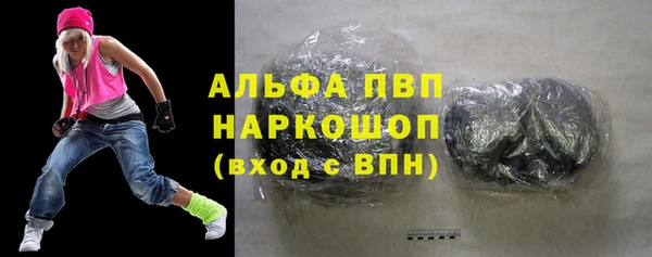 прущий лед Бородино