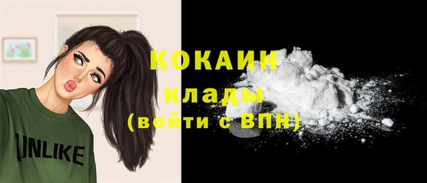 гашиш Богданович