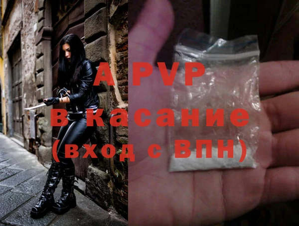 гашиш Богданович