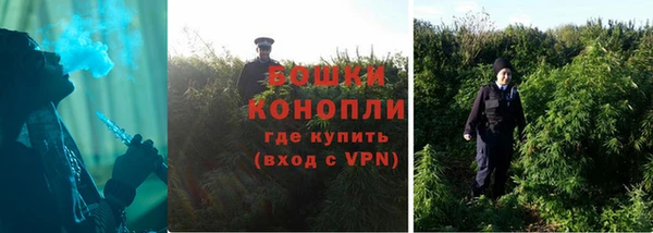 ешки Богородск