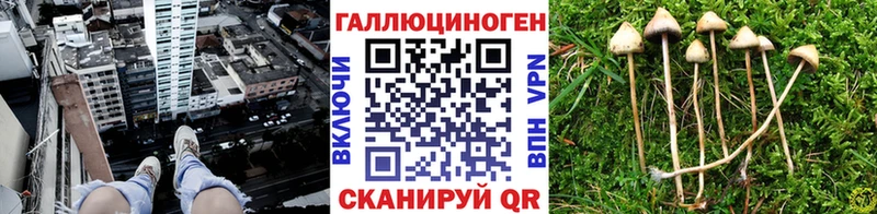 Галлюциногенные грибы GOLDEN TEACHER  Демидов 