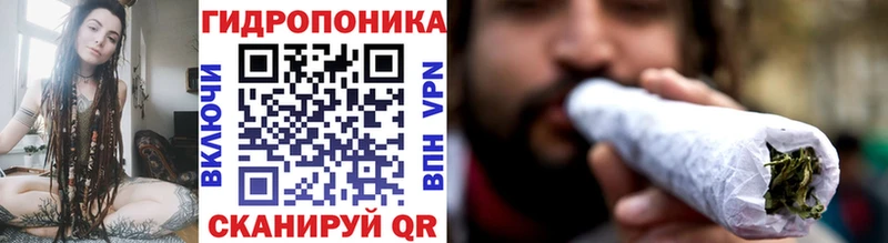 shop какой сайт  Демидов  Бошки марихуана марихуана 